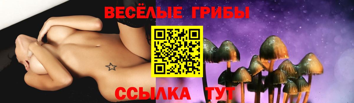 Псилоцибиновые грибы MAGIC MUSHROOMS  Псилоцибиновые грибы мухоморы  Вход с VPN  Ставрополь 